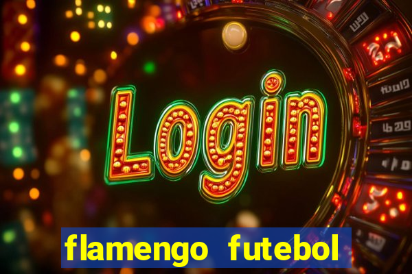 flamengo futebol play hd